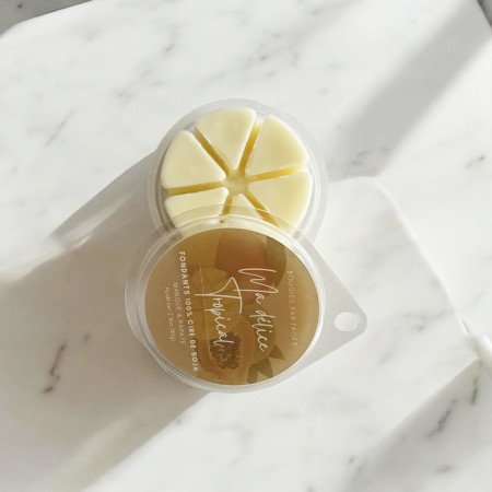 Fondants Ma Délice Tropical parfumée en cire de Colza - Mangue Papaye (90g)