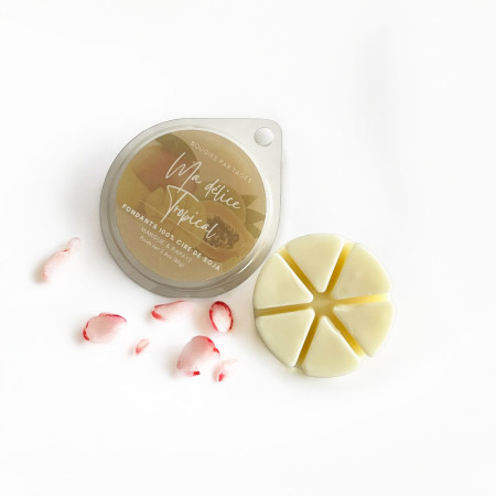 Fondants Ma Délice Tropical parfumée en cire de Colza - Mangue Papaye (90g)